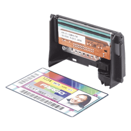 Refacción: Cabezal para impresa  DTC1000/4000/4500 / 1250e / 4250e / 