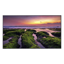 Pantalla Profesional LED de 75", UHD 4K (3840x2160p), Entradas de Video HDM, Bocinas Integradas de 10 W. Compatible VESA / compatible con Magic Info