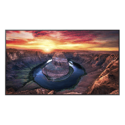 Pantalla Profesional LED 75" / UHD 4K (3840x2160p) / 500 nit / 24/7 / HDMI 2.0 / DisplayPort / DICOM / VESA 400x400