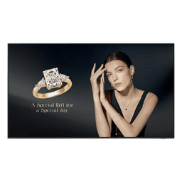 Pantalla Profesional Neo QLED 115" Resolucion 4K / Panel VA / Brillo 1,000 nit / Dimensiones 2.56m largo x 1.46 m de alto / Uso 24/7 / HDMI 2.1 / DisplayPort 1.4 / WiFi-Bluetooth / compatible con VXT