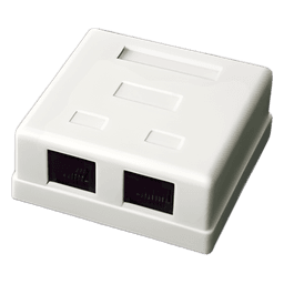 Caja de Pared con 2 Puertos, Incluye 2 Jacks UTP Cat5e Keystone